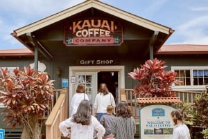 Kauai-dagtour: Kalalau, Waimea, Poipu, cruise of luchthaven PU