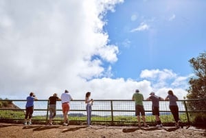 Kauai-dagtour: Kalalau, Waimea, Poipu, cruise of luchthaven PU