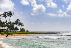 Kauai-dagtour: Kalalau, Waimea, Poipu, cruise of luchthaven PU