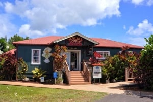 Kauai-dagtour: Kalalau, Waimea, Poipu, cruise of luchthaven PU