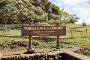 Kauai-dagtour: Kalalau, Waimea, Poipu, cruise of luchthaven PU