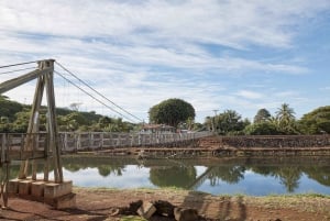 Kauai-dagtour: Kalalau, Waimea, Poipu, cruise of luchthaven PU