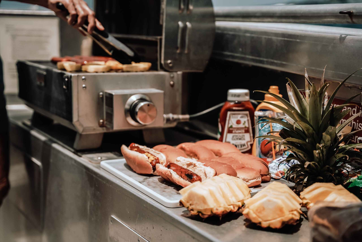 Delfinudflugt med snorkling og grill i Kona, Big Island