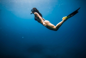 Delfinudflugt med snorkling og grill i Kona, Big Island