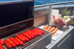 Delfinudflugt med snorkling og grill i Kona, Big Island