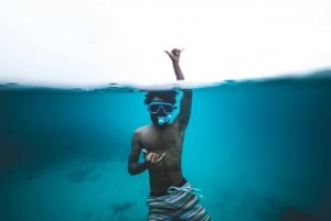 Excursión en E-Scooter por la Ciudad de las Tortugas con Foto y Vídeo Opcionales