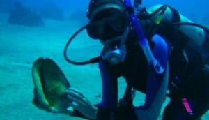East Hawaii Divers