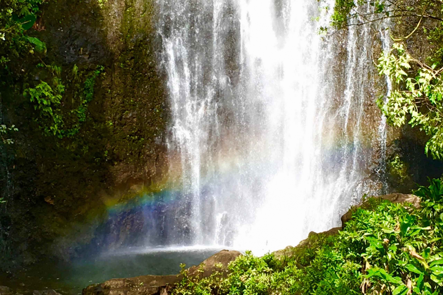 Maui Este: Excursión Privada por la Selva Tropical o por la Carretera a Hana