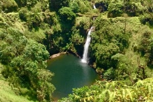 East Maui: Private Rainforest or Road to Hana Loop Tour