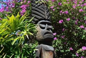 Erfgoed van Honolulu: Een wandeling door de geschiedenis