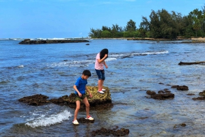 Goditi un tour fotografico professionale privato nell'isola di Honolulu