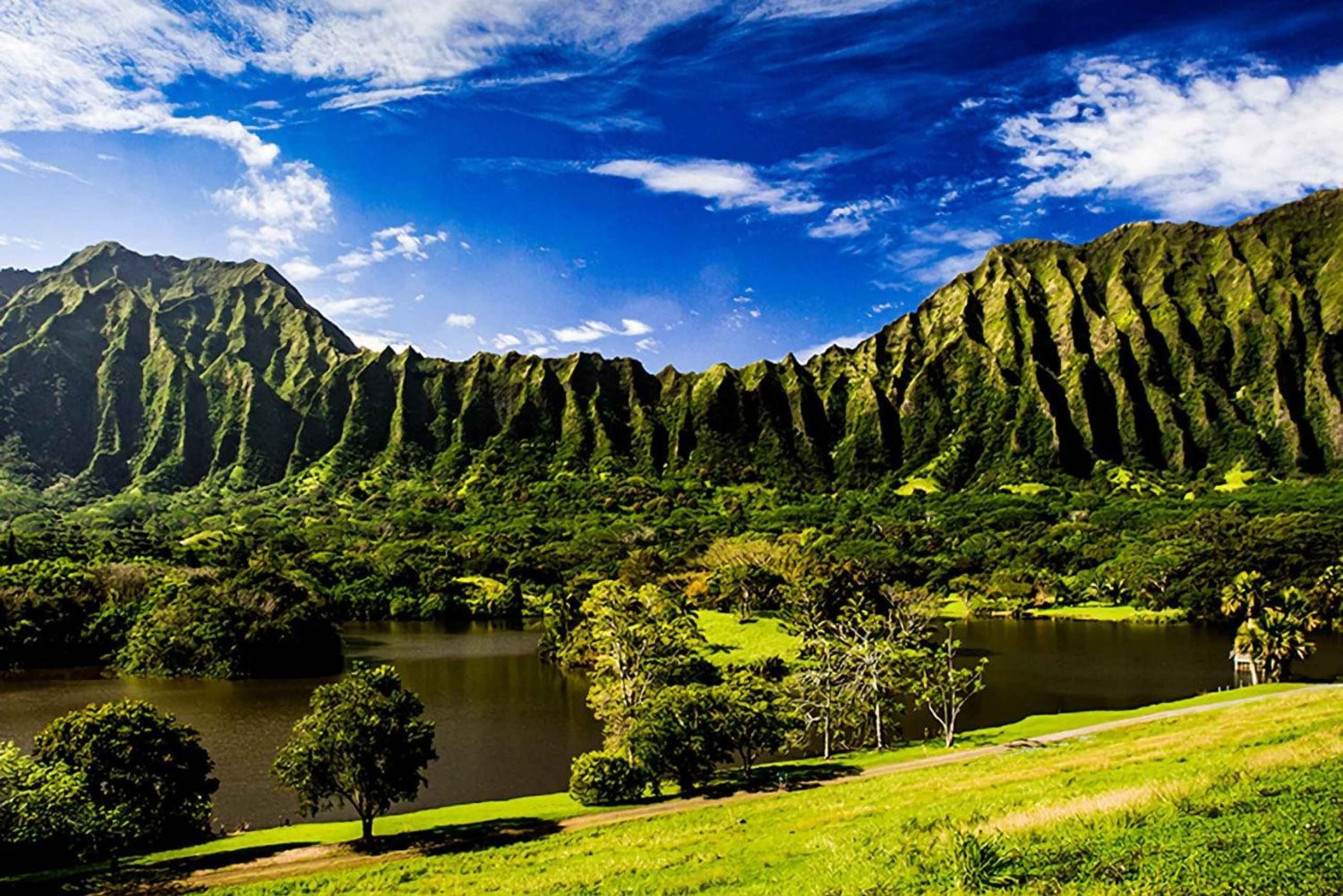 Explora Oahu en un Polaris Slingshot