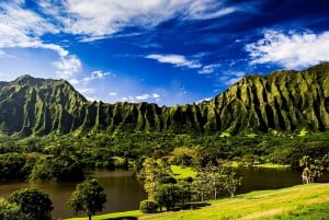 Explore Oahu in a Polaris Slingshot