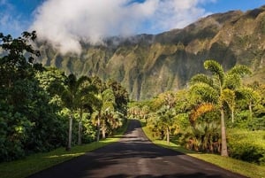 Explore Oahu in a Polaris Slingshot