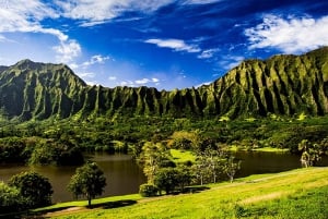 Explora Oahu en un Polaris Slingshot