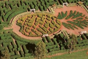 Explora Oahu en un Polaris Slingshot