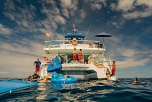 Uit Hawaï: milieuvriendelijke snorkelervaring met barbecue