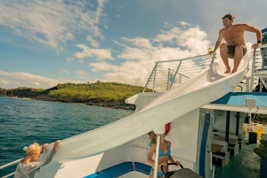 Fra Hawaii: Miljøvenlig snorkleoplevelse med grill