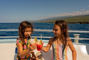 Fra Hawaii: Miljøvenlig snorkleoplevelse med grill