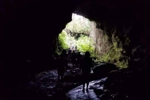Desde Hilo: Excursión al Parque Nacional de los Volcanes de la Isla Grande