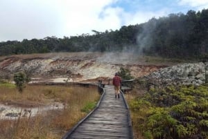 Da Hilo: Tour del Parco Nazionale dei Vulcani dell'Isola Grande