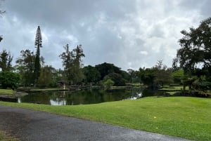 From Hilo: Hawaii Volcanoes National Park Tour