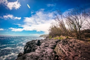 From Hilo: Kilauea Lava Flow Tour with Lunch and Dinner