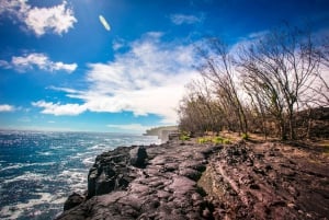 Van Hilo: Kilauea Lava Flow Tour met lunch en diner