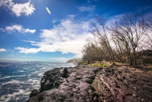 From Hilo: Kilauea Lava Flow Tour with Lunch