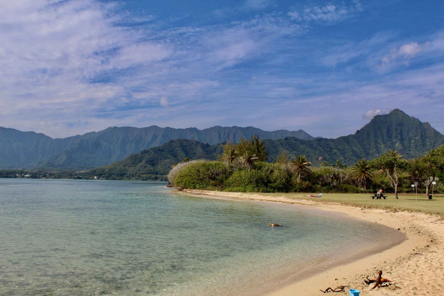 From Honolulu: 20 Exciting Sites North Shore of Oahu Tour