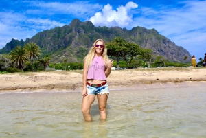 From Honolulu: 20 Exciting Sites North Shore of Oahu Tour