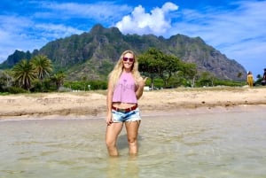 Vanuit Honolulu: Epische eilandtour