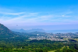 Vanuit Honolulu: Epische eilandtour