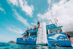 Oahu: Dolphin Swim and Snorkeling Trip