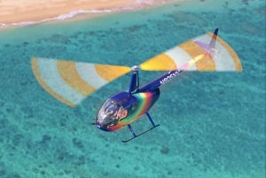 Fra Honolulu: Oahu Helicopter Tour med døre til eller fra
