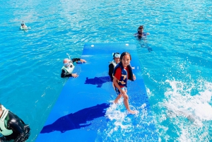 Oahu: Waikiki Turtle Snorkeling Adventure