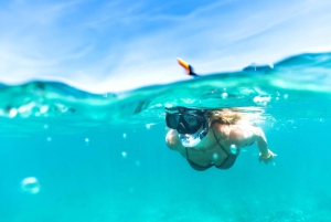 Honolulu: Turtle Snorkeling Tour