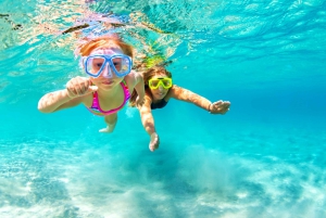 Honolulu: Turtle Snorkeling Tour