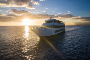 Oahu: Waikiki Sunset and Cocktail Cruise