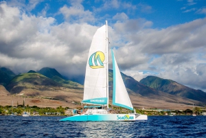From Kaanapali: Afternoon West Maui Snorkeling & Sea Turtles