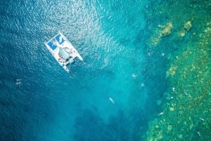 Z Kaanapali: Popołudniowy snorkeling w zachodnim Maui z napojami