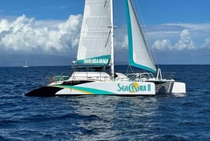 Z Kaanapali: Popołudniowy snorkeling w zachodnim Maui z napojami