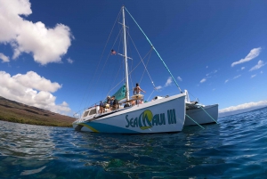 From Ka'anapali Beach: West Maui Half-Day Snorkel Adventure