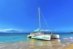 From Ka'anapali: West Maui Half-Day Snorkel Tour w/ Food