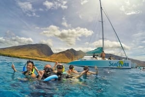 From Kaanapali: West Maui Snorkeling Cruise & Sea Turtles