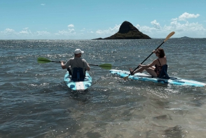 From Kaneohe: Kayak/SUP to Mokoli’i Guided Tour