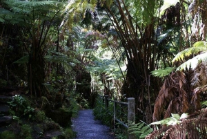 From Kauai: Hawaii Volcanoes National Park Experience