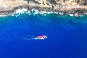 Da Kihei: Cratere di Molokini e Snorkeling di Turtle Town