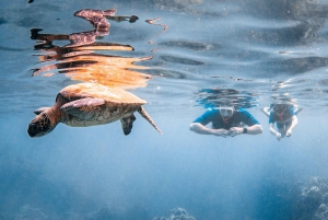 Da Kihei: Cratere di Molokini e Snorkeling di Turtle Town