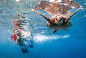 Da Kihei: Cratere di Molokini e Snorkeling di Turtle Town